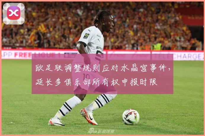 欧足联调整规则应对水晶宫事件，延长多俱乐部所有权申报时限
