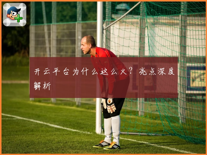 开云平台为什么这么火？亮点深度解析